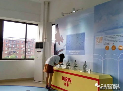 探訪麒麟啤酒觀光工廠 暢飲一番榨，盡享啤酒文化